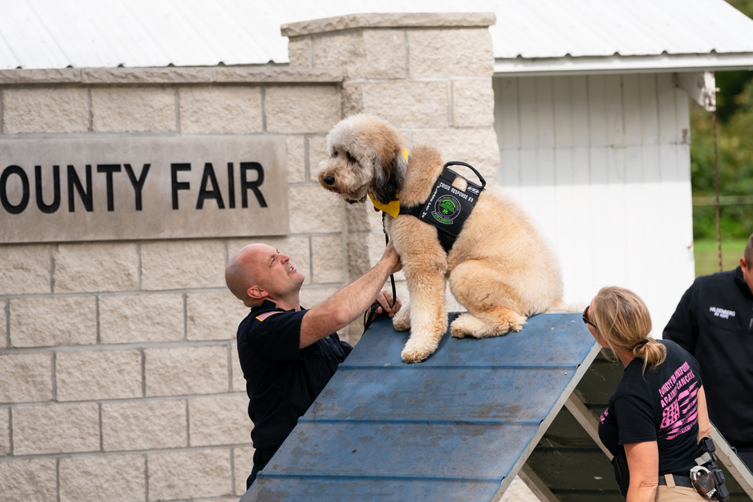 K9 Archie with Nick Toornstra