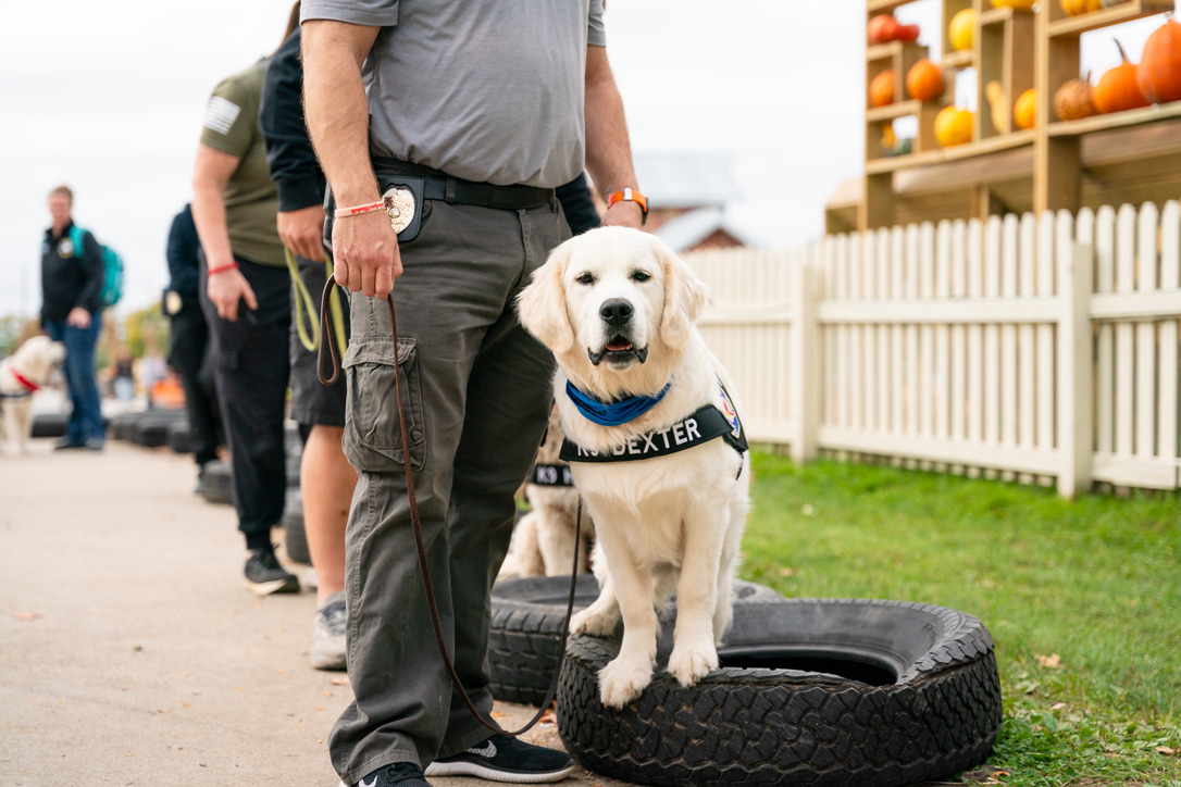 K9 Dexter with Benjamin Bartlett