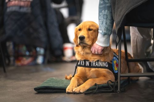 CrisisK9s-Spring-Day1 011