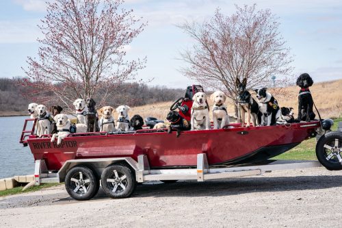 CrisisK9s-Spring-Day3 101